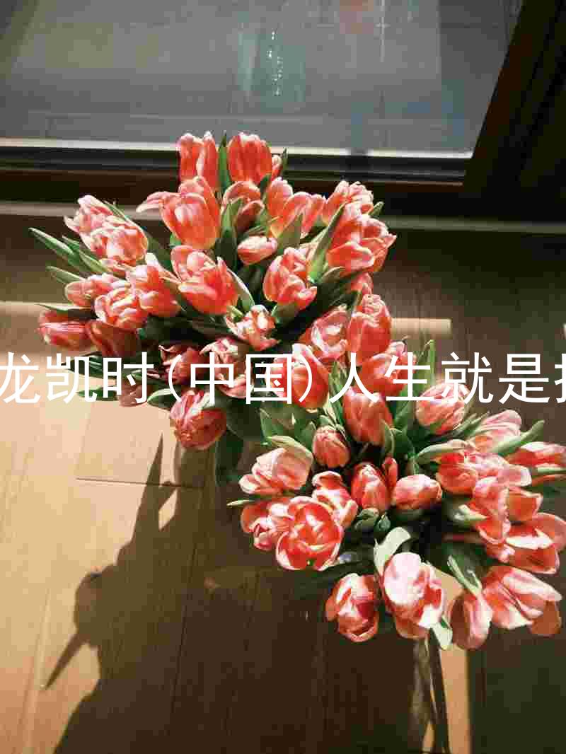 尊龙凯时(中国)人生就是搏!