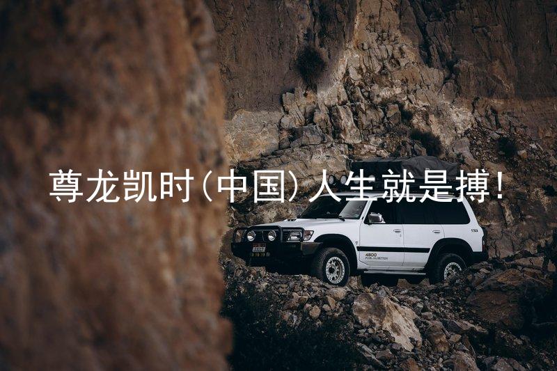 尊龙凯时(中国)人生就是搏!