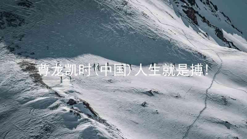 尊龙凯时(中国)人生就是搏!