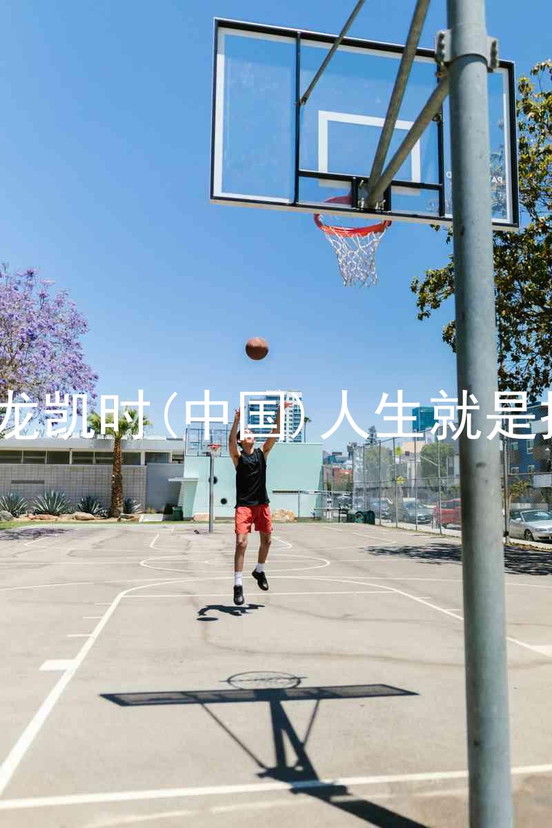 尊龙凯时(中国)人生就是搏!