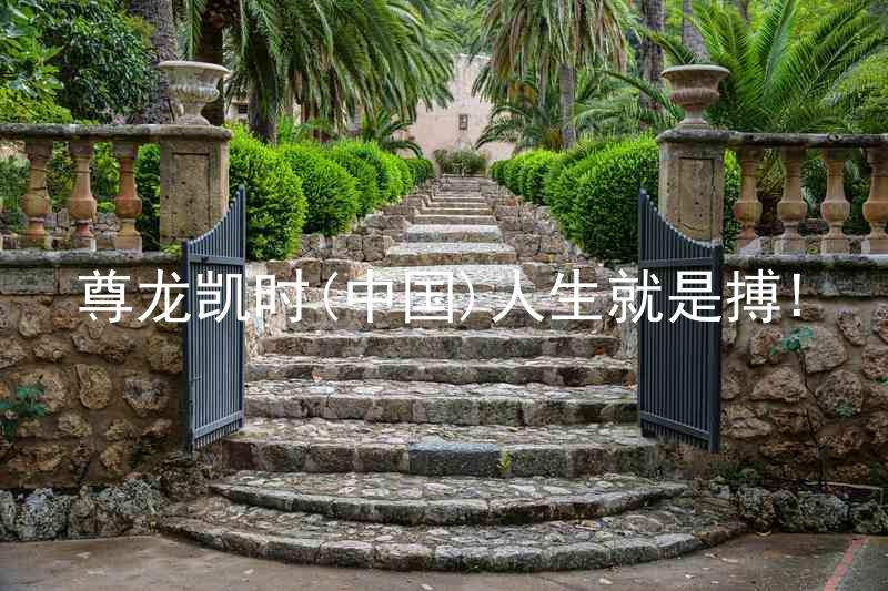 尊龙凯时(中国)人生就是搏!