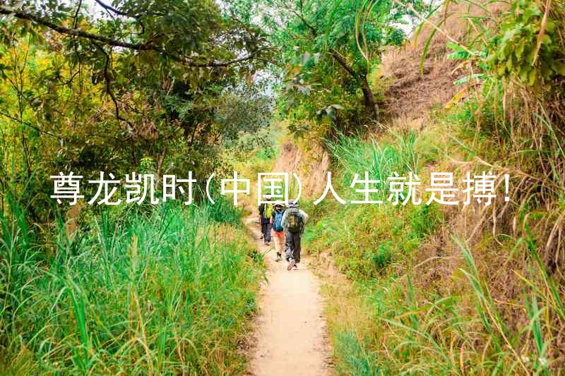 尊龙凯时(中国)人生就是搏!