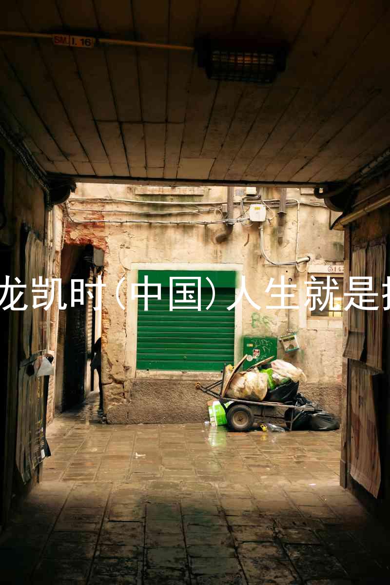 尊龙凯时(中国)人生就是搏!