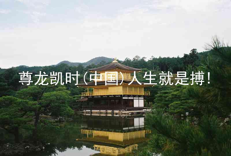 尊龙凯时(中国)人生就是搏!