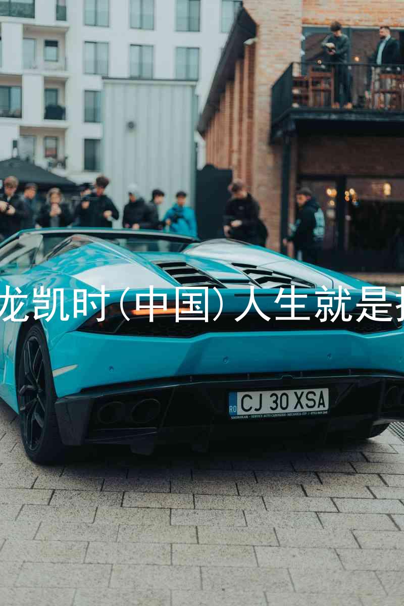 尊龙凯时(中国)人生就是搏!